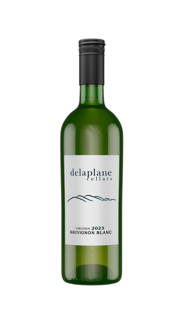 2023 Sauvignon Blanc 1